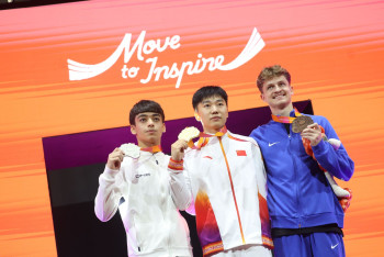 Men's Pommel Horse Final