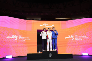 Men's Pommel Horse Final